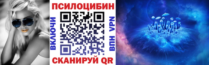 купить наркотики цена  Курганинск  Галлюциногенные грибы мицелий 